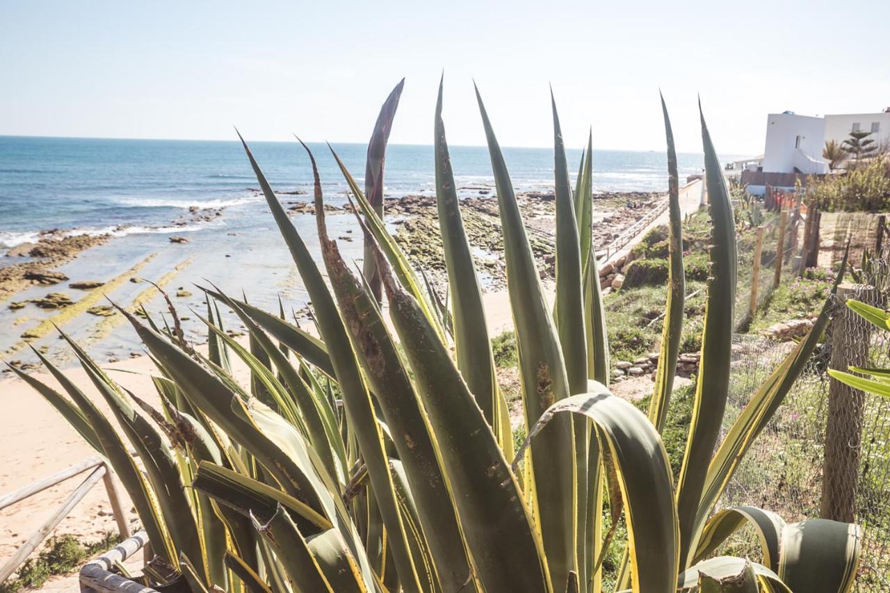 Magnífico duplex renovado con piscina garaje y jardín, frente a la playa de los Caños de Meca. Exterior foto